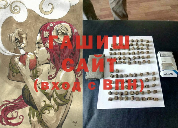 хмурый Бородино